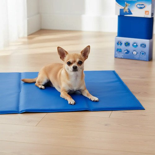 Manta Térmica Para Perros Talle L (90cm X 50cm) - Imagen 2