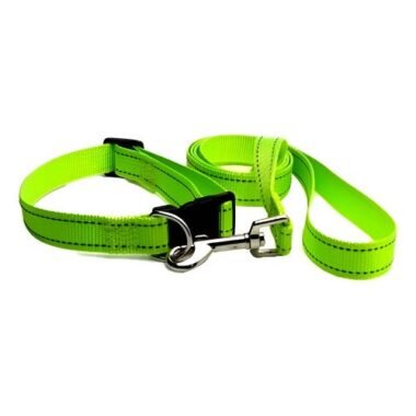 Correa Para Mascotas Gruesa Con Collar - Uh