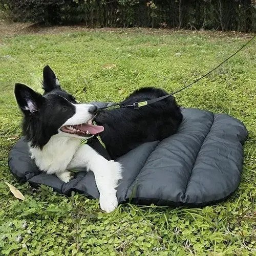 Manta Plegable Para Perros Y Gatos Impermeable 110 X 76 Cms - Imagen 2
